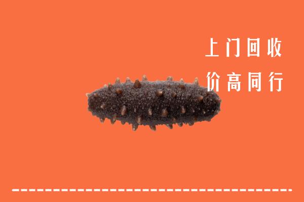 柞水县回收海参