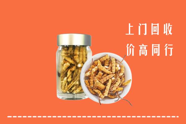 柞水县回收冬虫夏草