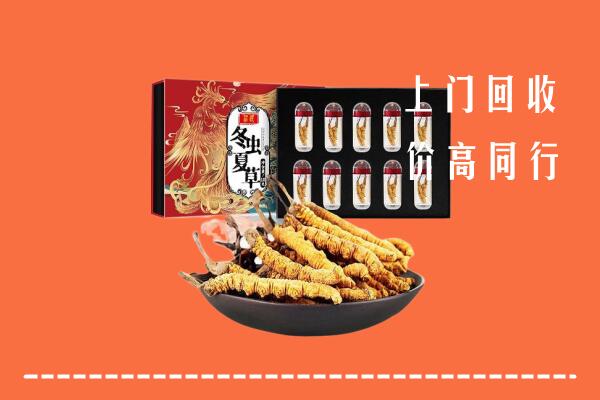 柞水县回收虫草